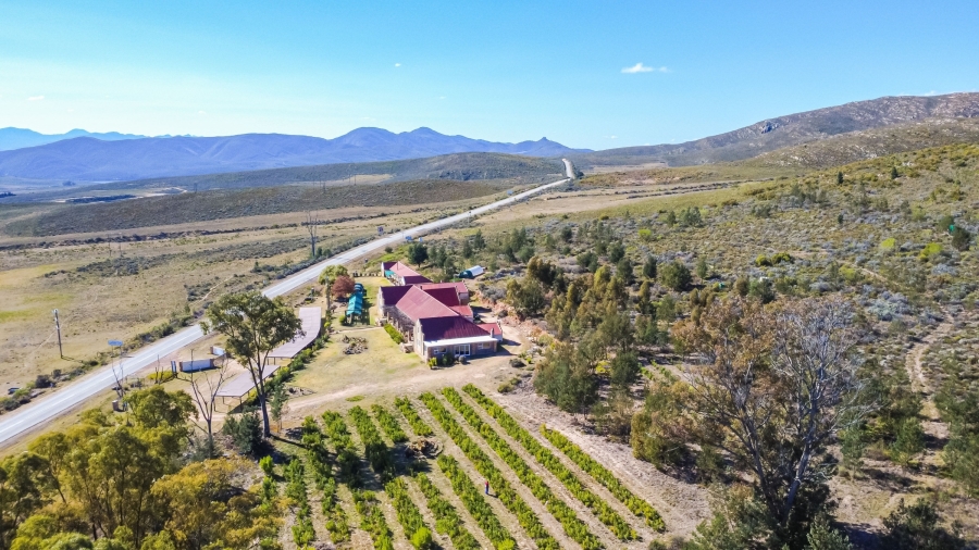 Commercial Property for Sale in Misgund Eastern Cape